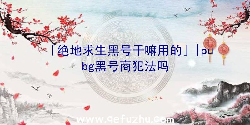 「绝地求生黑号干嘛用的」|pubg黑号商犯法吗